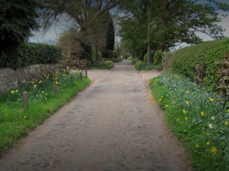 Adult Pathways 2 - Assisted Living in Alderley Edge, England photo 1