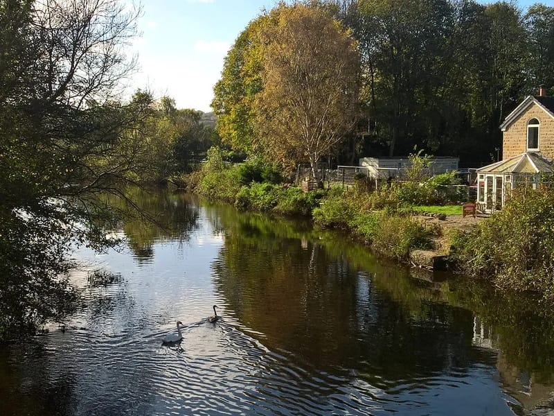 Ravensdale - Nursing Home in Leeds, England photo 2