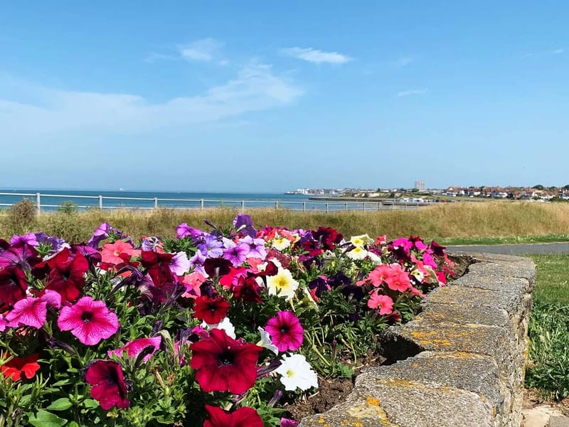 Ocean View Care Home - Nursing Home in Tralee, Kerry photo 3