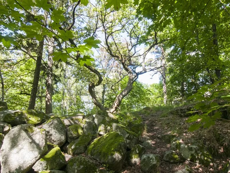 Säbo äldre, Olovslund - Serviceboende in Järfälla, Stockholms län photo 2
