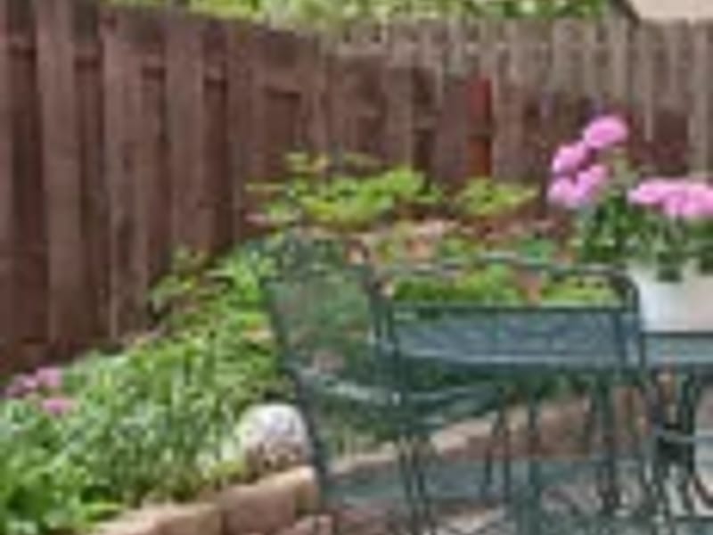 Ability Care Partners Incorporated - Home Health Nursing in Crystal, MN photo 3