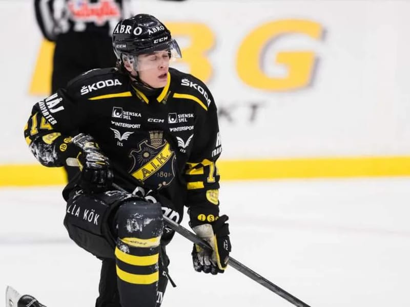 Htj Valdemar - Hemtjänst in Värnamo, Jönköpings län photo 3