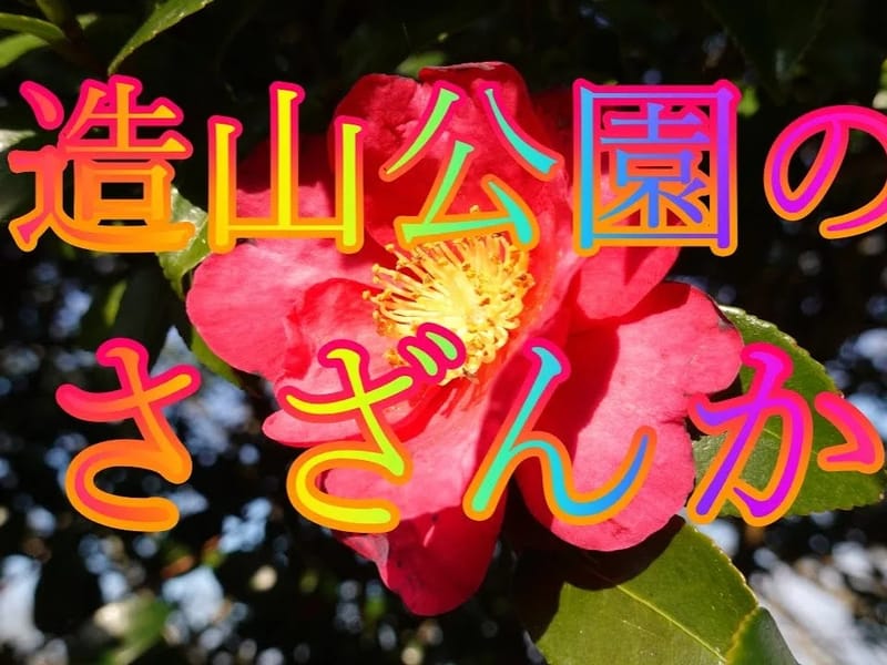 さざんかの郷 - 有料老人ホーム in 三木市, 兵庫県 photo 1