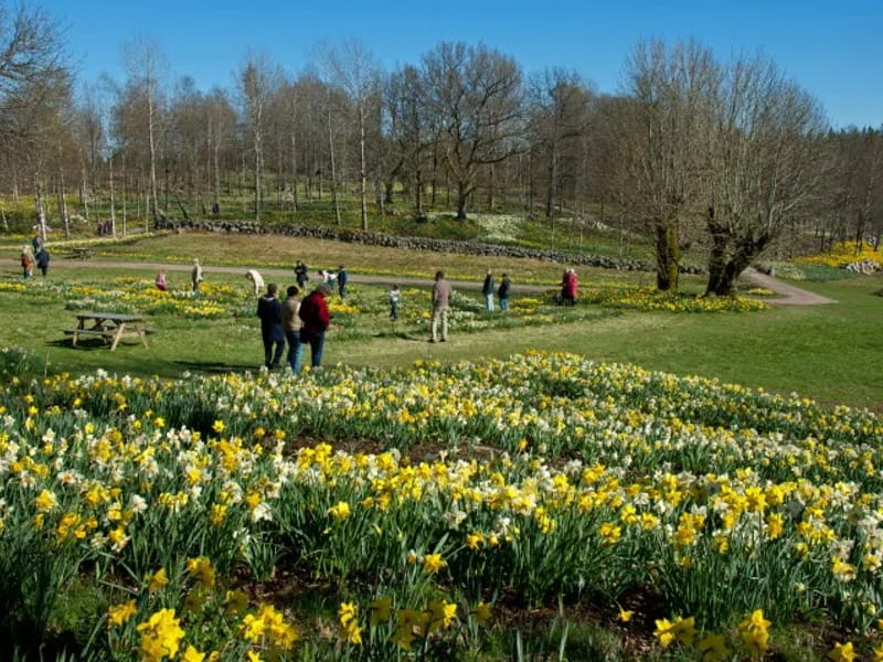 Fagerås - Äldreboende in Kil, Värmlands län photo 1