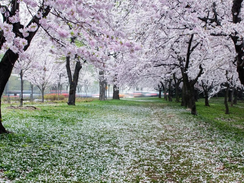 Cherry Tree Close - Assisted Living in Stroud, England photo 1