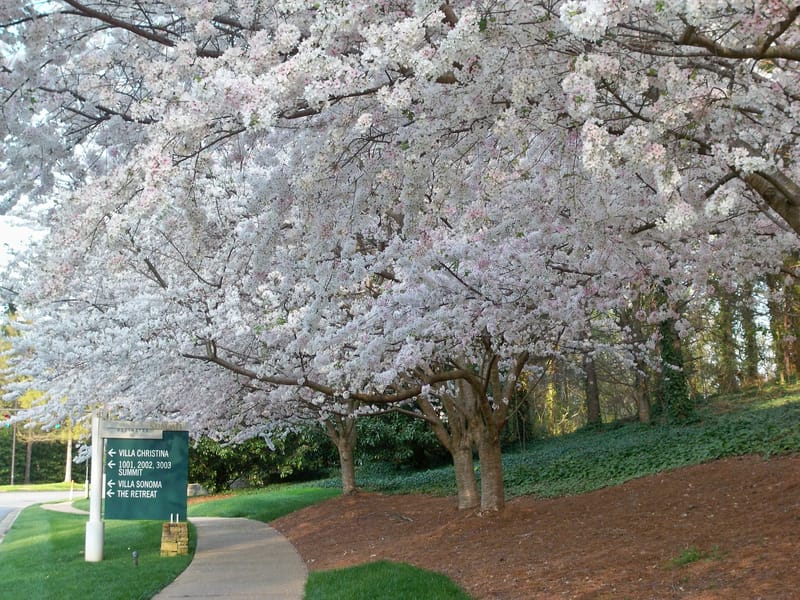 Cherry Tree Close - Assisted Living in Stroud, England photo 2