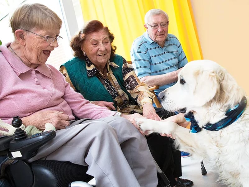 Amb. PD der Georg-Behrmann-Stiftung in Hamburg, Free and Hanseatic City of Hamburg photo 2