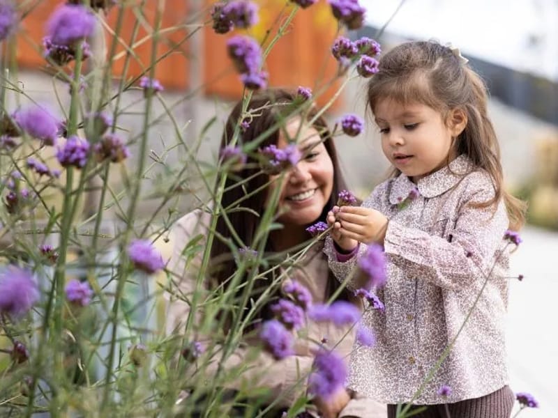 Gentle Folk Community Care London in Barking, England photo 2