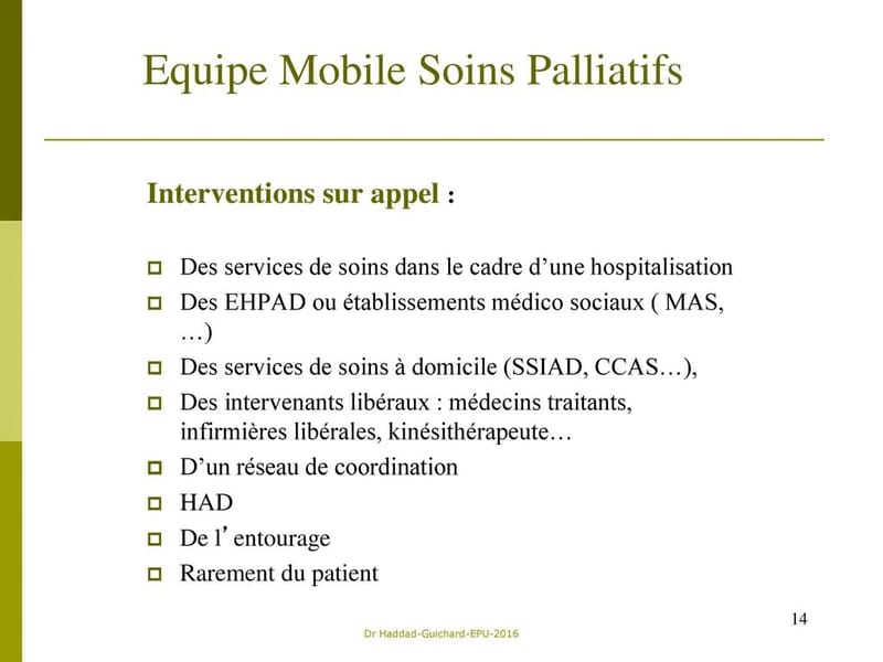 Ssiad PA Pi66 Soins Palliatifs - Soins Infirmiers à Domicile in PERPIGNAN, Occitanie photo 3