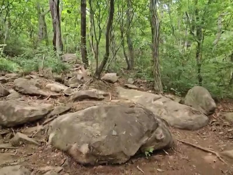 (A)비지팅엔젤스 부산해운대장산방문요양지점 in 해운대구, 부산광역시 photo 1