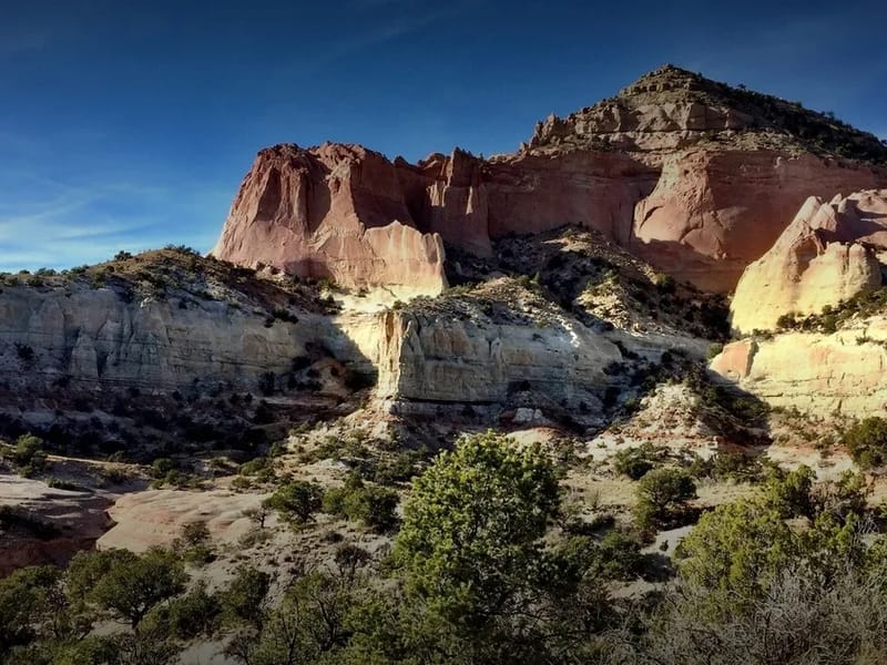 APP OF NEW MEXICO HM PLLC - Home Health Nursing in Gallup, NM photo 1