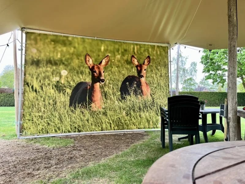 Mariëngaarde - Begeleid Wonen in Aarle-Rixtel, Limburg photo 9