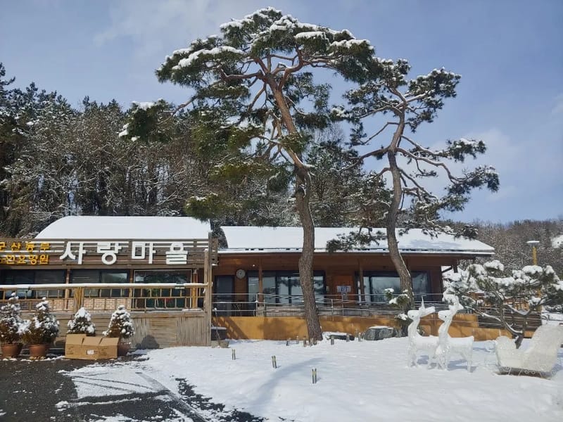 사랑마을요양원 - 방문요양 in 군산시, 전북특별자치도 photo 2