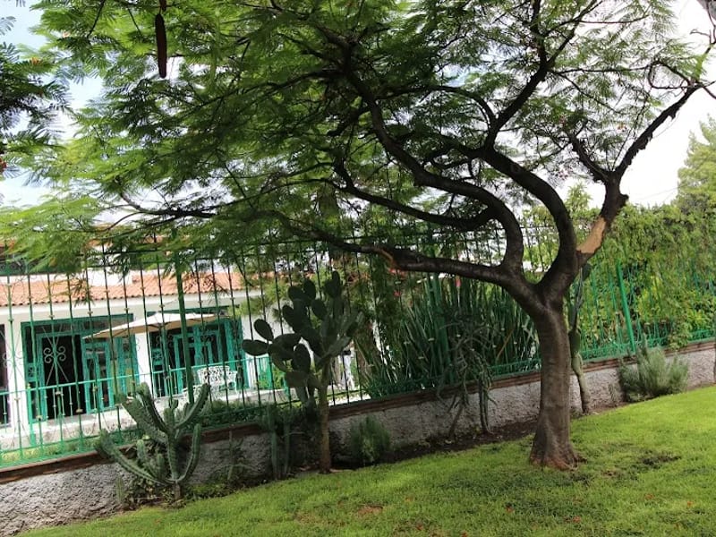 Sinanka Ay Centro Geriatrico - Hogar de Ancianos in Querétaro, Querétaro photo 2