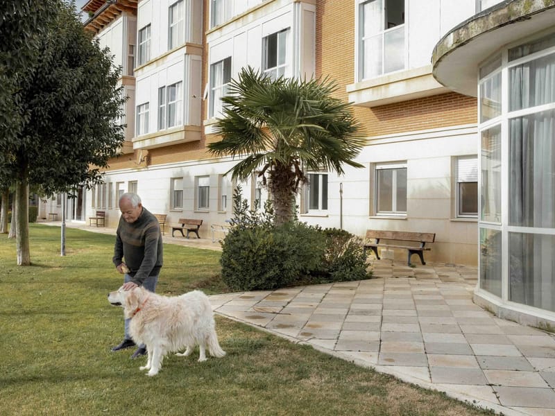 Residencia De Mayores Reina Isabel - Hogar de Ancianos in Palencia, Castilla y León photo 3