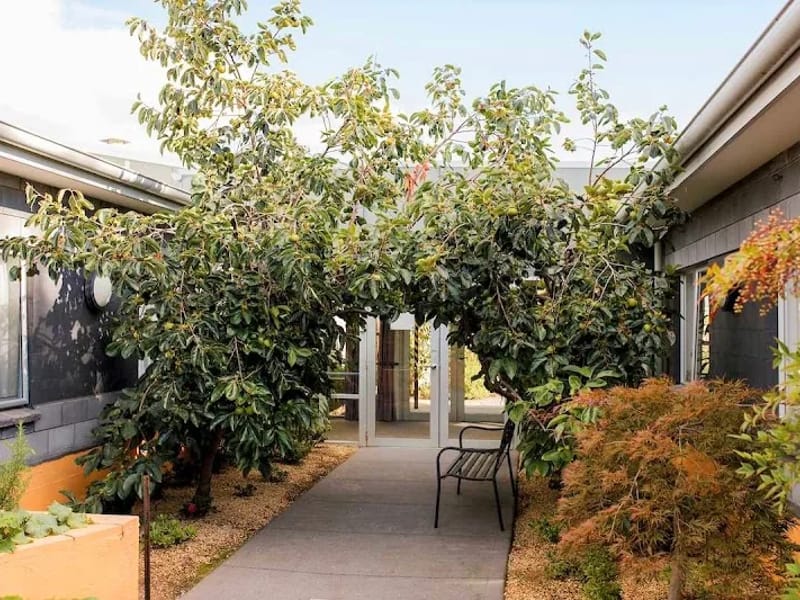 Barrington Lodge - Nursing Home in New Town, TAS photo 8