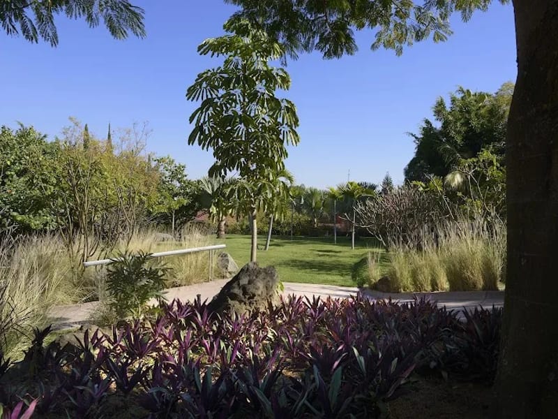 RESIDENCIA DE ADULTOS MAYORES RESIDENCIA GUADALUPE - Hogar de Ancianos in Cuernavaca, Morelos photo 4