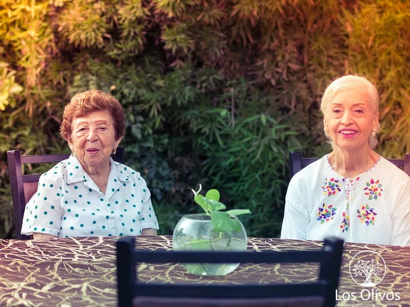 ASILOS DE ANCIANOS MONTERREY - Hogar de Ancianos in Monterrey, Nuevo León photo 2