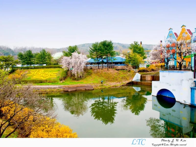 고은빛화수원 in 춘천시, 강원특별자치도 photo 3