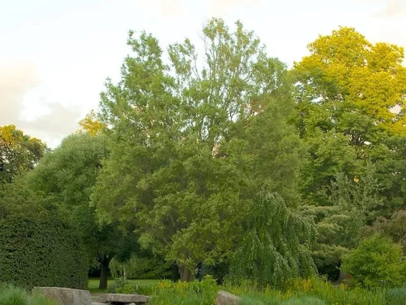 Kungsparken - Äldreboende in Kumla, Örebro län photo 2