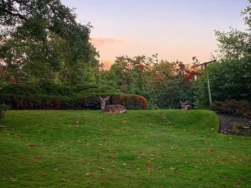 Thomas House (St Helens) Limited - Assisted Living in St Helens, England photo 2