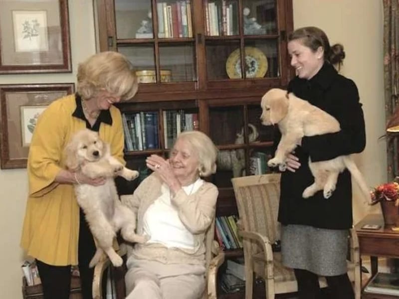 Academy At Bella Vista, The - Assisted Living in Boulder, CO photo 1