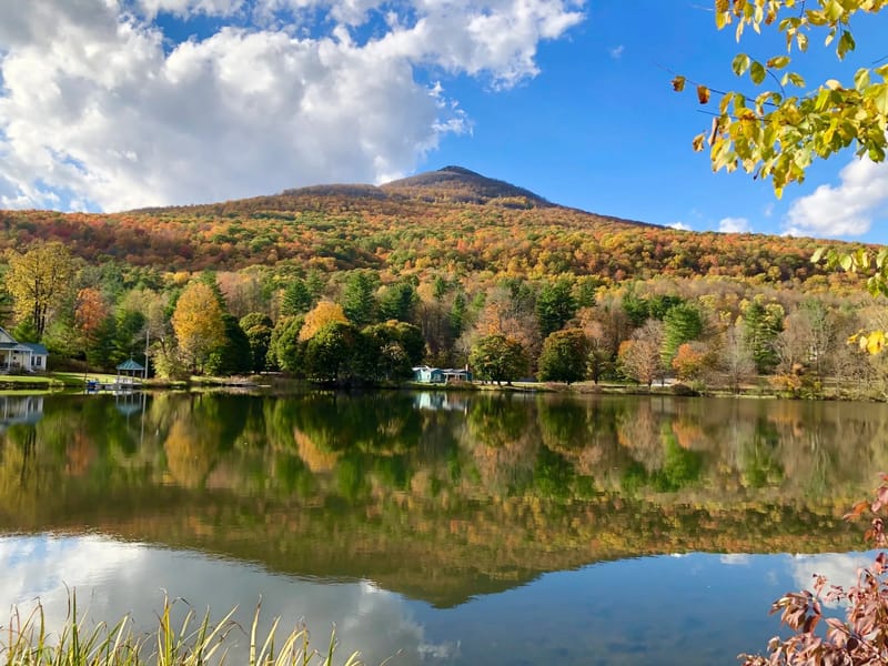 Dorset House - Nursing Home in Poole, England photo 1