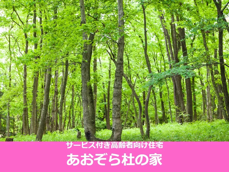 あおぞらの里 森松ケアプランセンター - 有料老人ホーム in 松山市, 愛媛県 photo 3