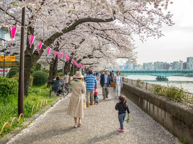 むこうじまケアプランセンター - 有料老人ホーム in 墨田区, 東京都 photo 1