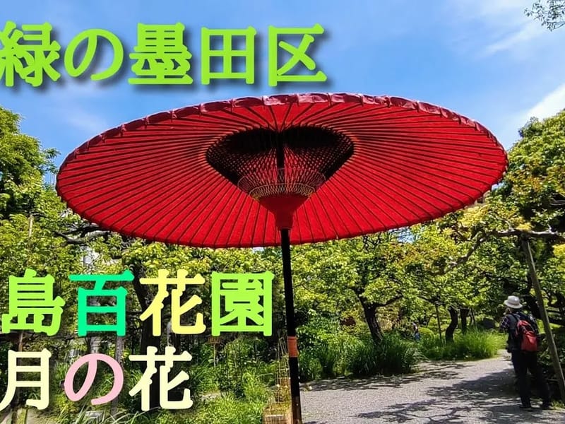 むこうじまケアプランセンター - 有料老人ホーム in 墨田区, 東京都 photo 3