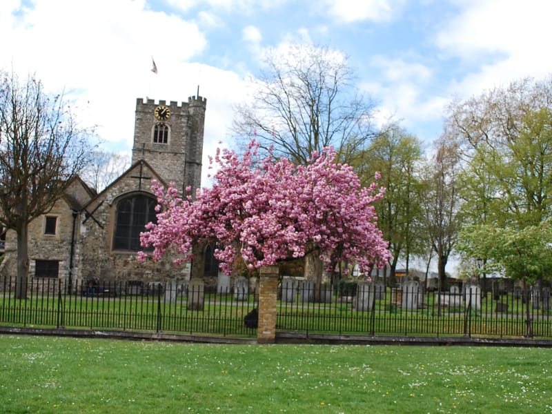 Chosen Care Group - Barking and Dagenham - In-Home Care in Barking, England photo 3