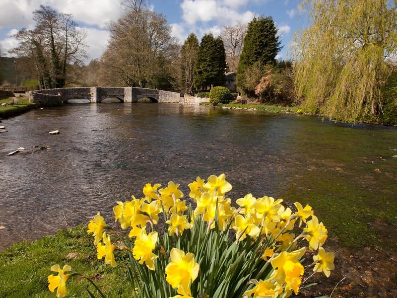 May Morning in Ashford, England photo 1