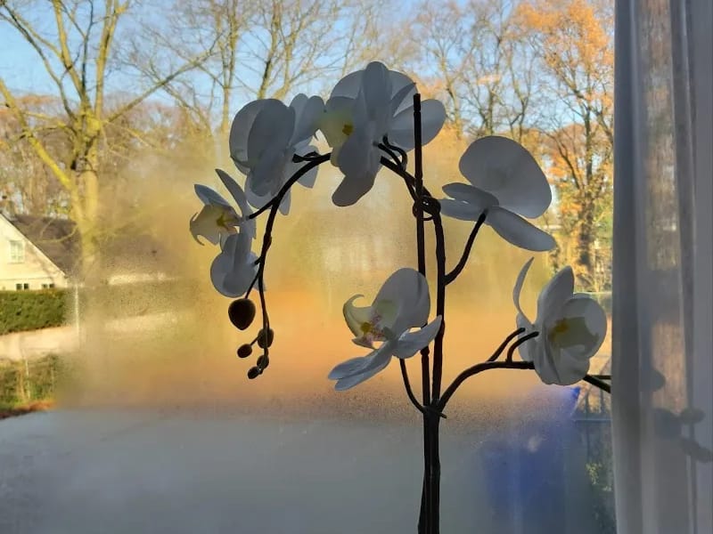 Het Vijverberghuis - Begeleid Wonen in Doetinchem, Gelderland photo 7