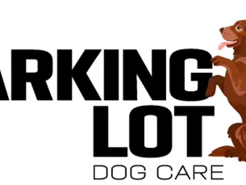 Banah Health Care Services Ltd - In-Home Care in Barking, England photo 1