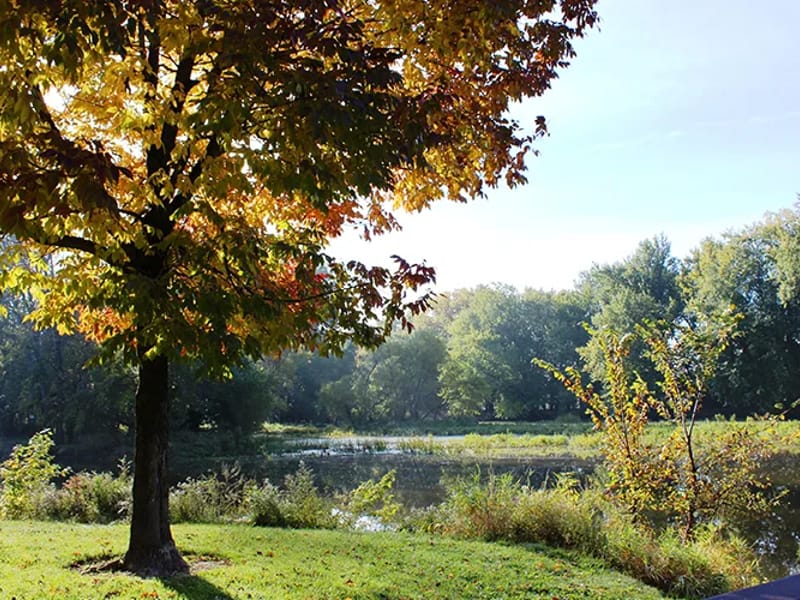 Deer Creek Afc - Assisted Living in Coopersville, MI photo 2