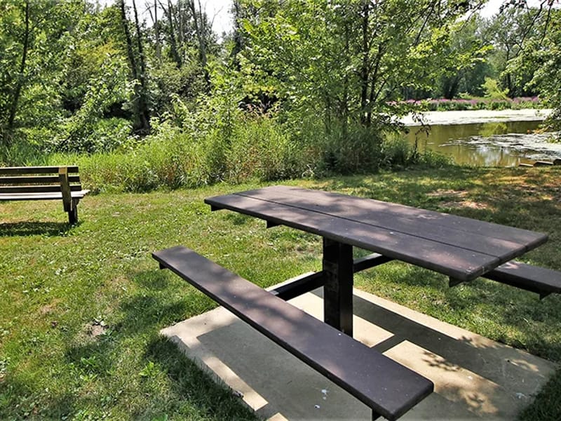 Deer Creek Afc - Assisted Living in Coopersville, MI photo 3