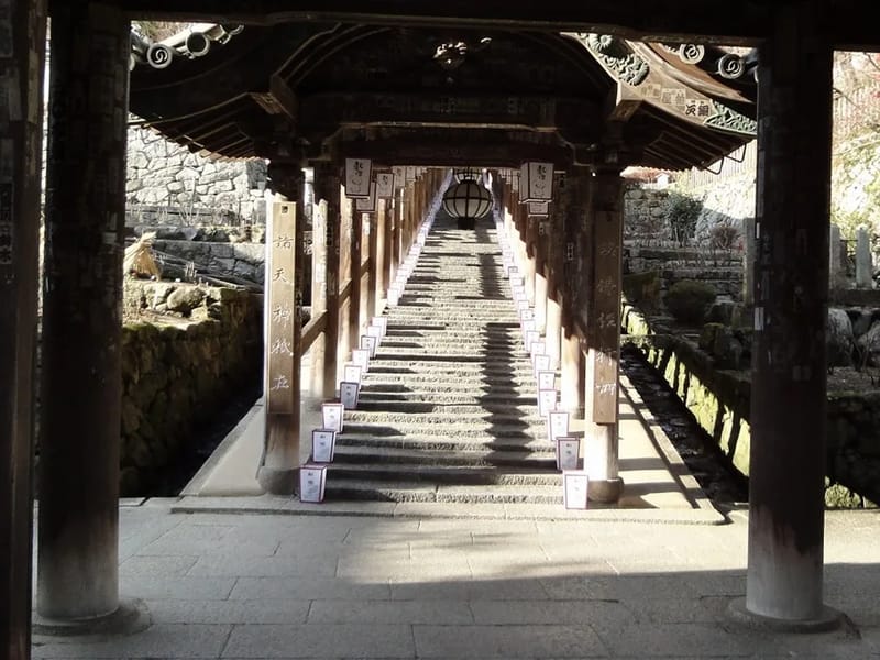 より愛どころ ありがとう - 有料老人ホーム in 桜井市, 奈良県 photo 1