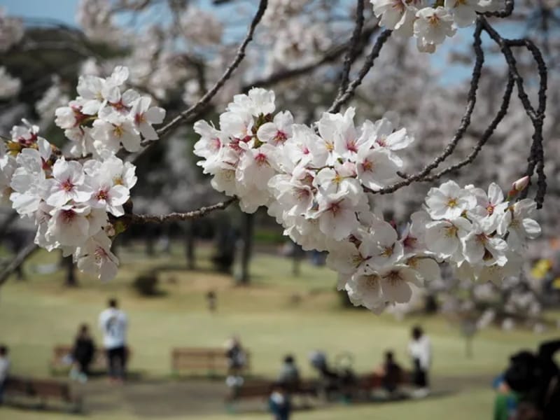 より愛どころ ありがとう - 有料老人ホーム in 桜井市, 奈良県 photo 2
