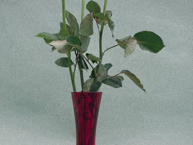 Three Roses in Bristol, England photo 2