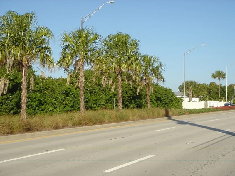 Amore At Kanner Highway  Llc - Assisted Living in Stuart, FL photo 2