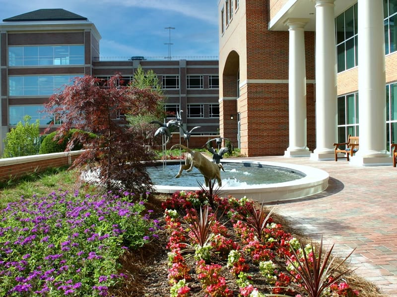 Carolinas Medical Center At Home, LLC - Home Health Nursing in Shelby, NC photo 1