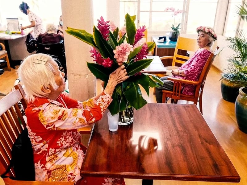 Integrated Care LLC - Home Health Nursing in Aiea, HI photo 6