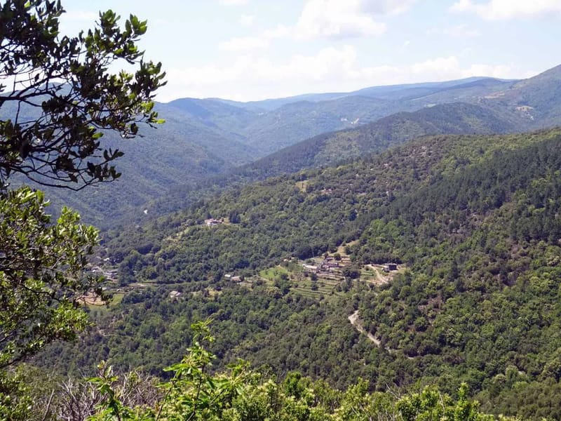 Ssiad PA Vallee Longue Et Calbertois - Soins Infirmiers à Domicile in LE COLLET DE DEZE, Occitanie photo 3