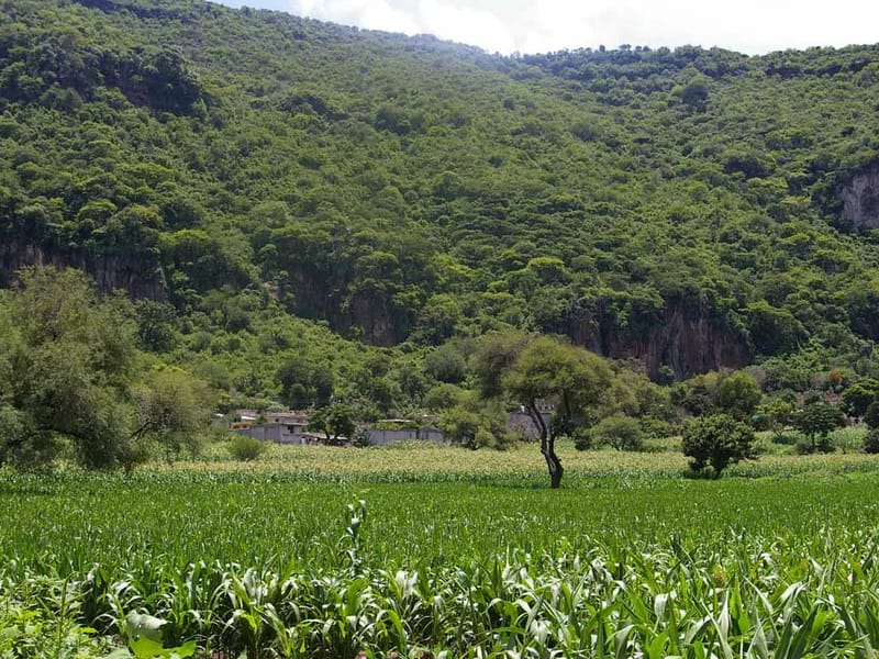 JARDIN DE ANCIANOS - Hogar de Ancianos in Valle De Santiago, Guanajuato photo 3