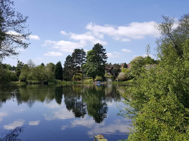 Merecroft in Birmingham, England photo 3