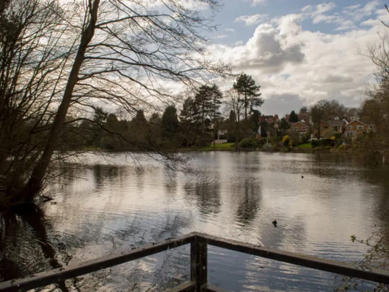 Merecroft in Birmingham, England photo 1