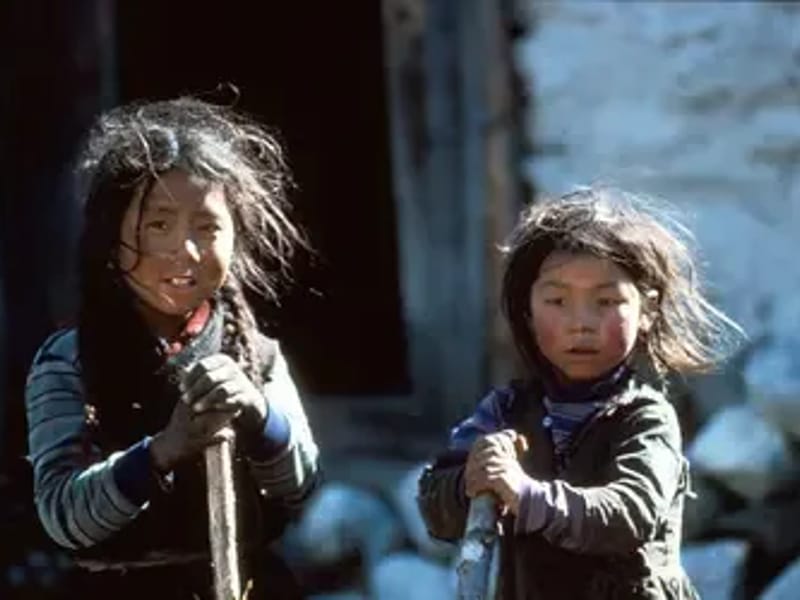 Sherpa - Begeleid Wonen in Huizen, Noord-Holland photo 3