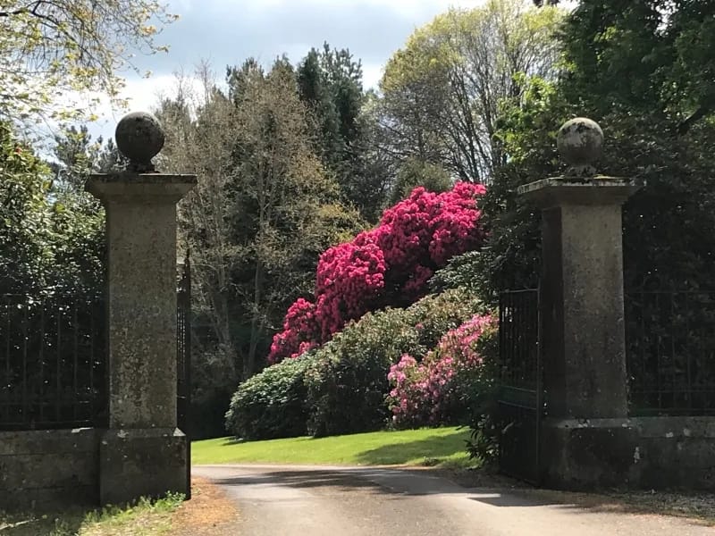 Bickham House - Assisted Living in Altrincham, England photo 3