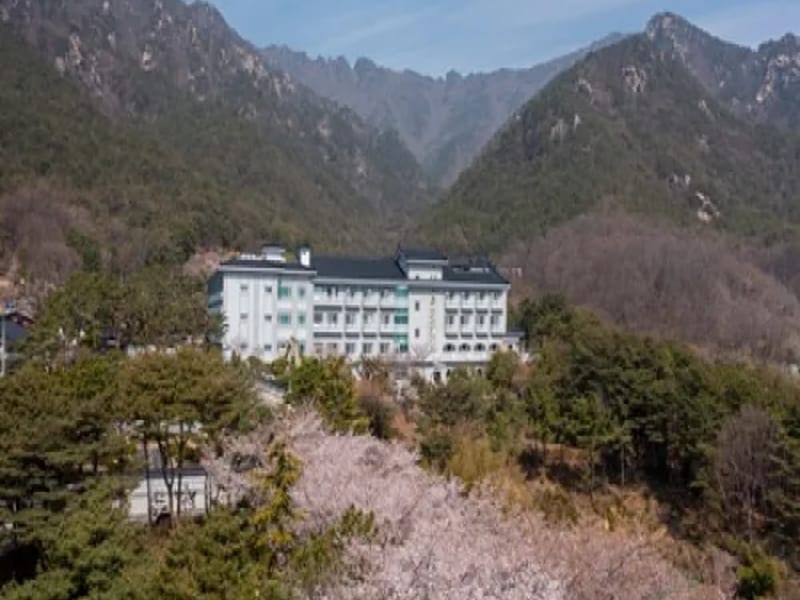가야실버빌 - 요양병원 in 성주군, 경상북도 photo 3