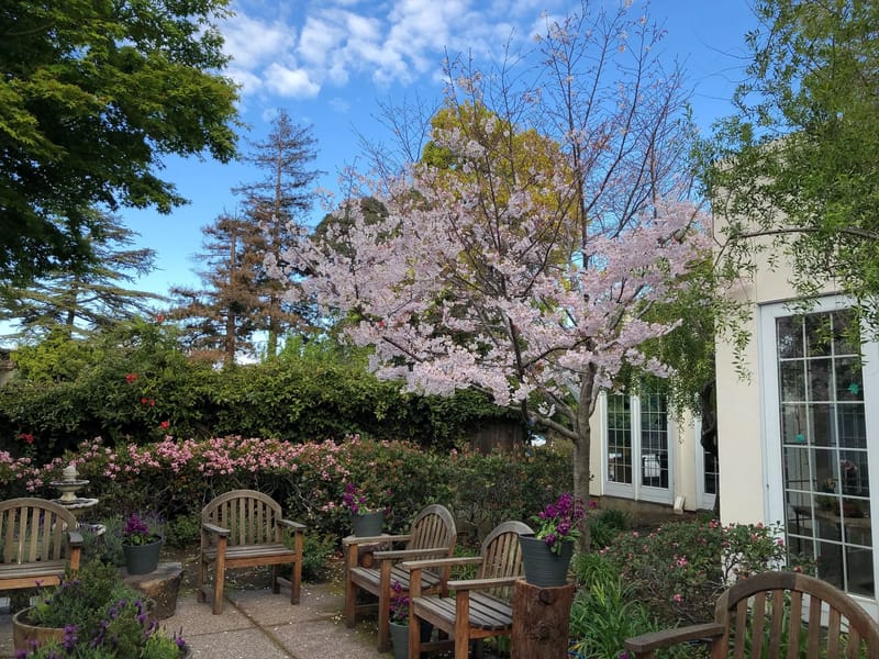 Ageway Boarding Care #2 - Assisted Living in San Mateo, CA photo 2